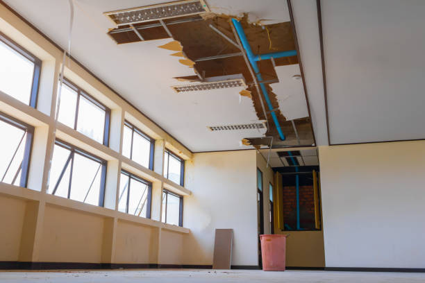 Best Sewage cleanup and water damage restoration  in St Regis Park, KY
