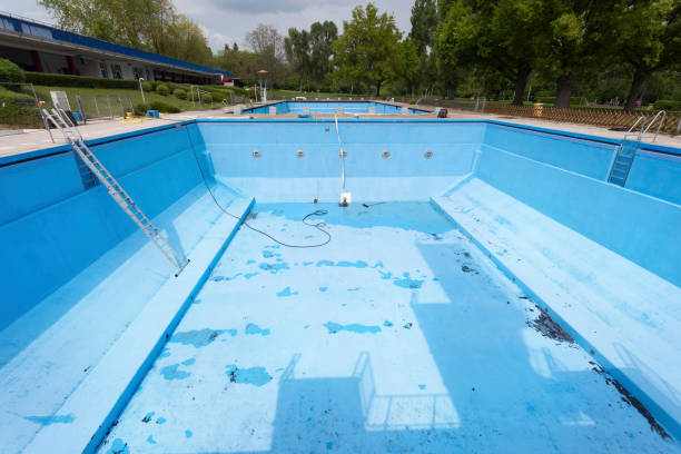 Best Mold removal after water damage  in St Regis Park, KY