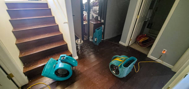 Best Water damage contractors near me  in St Regis Park, KY