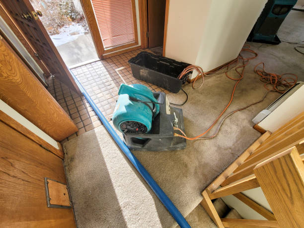 Best Basement water damage restoration  in St Regis Park, KY