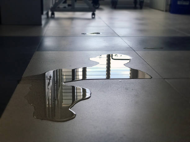 Best 24-hour water damage restoration  in St Regis Park, KY