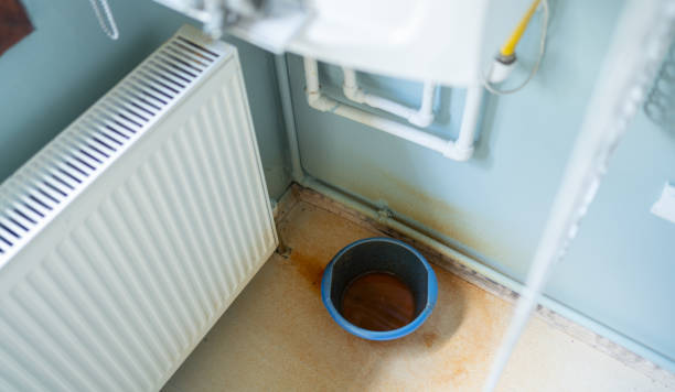 Best Professional water damage repair  in St Regis Park, KY