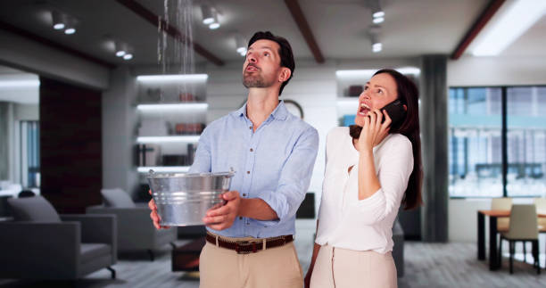 Best Water damage restoration near me  in St Regis Park, KY