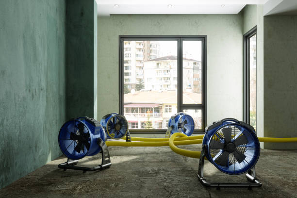 Best Water damage cleanup near me  in St Regis Park, KY