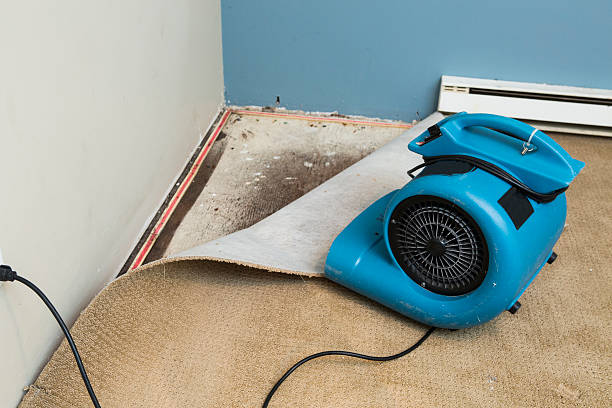  St Regis Park, KY Water damage restoration Pros