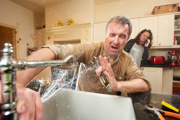 Best Water damage mitigation services  in St Regis Park, KY